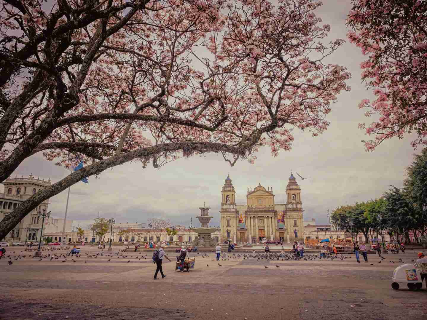 Experiencing Fear: Having a Gun Pointed at Me in Guatemala City