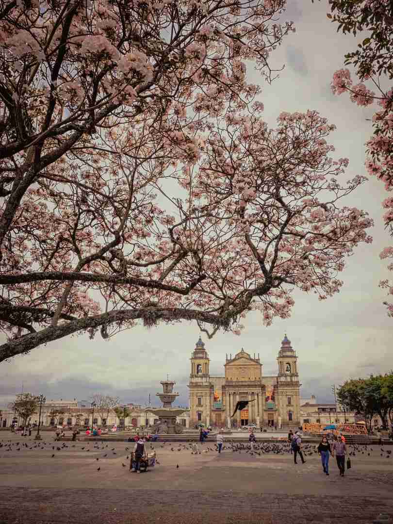 Experiencing Fear: Having a Gun Pointed at Me in Guatemala City