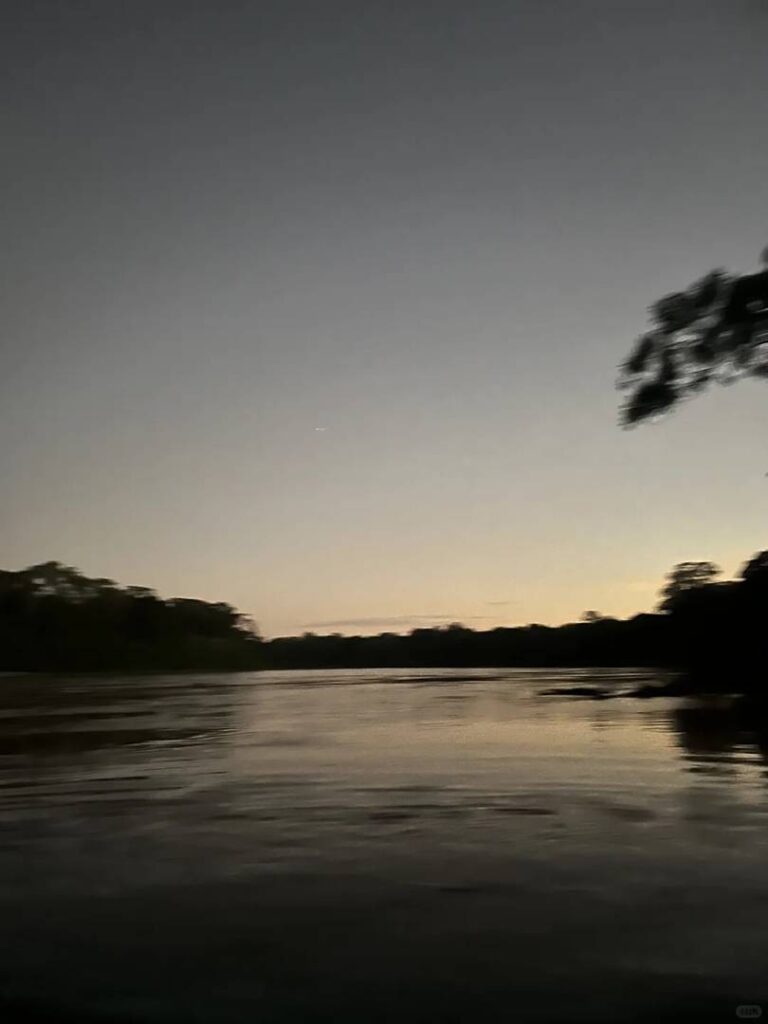 Explore Amazon Rainforest Biodiversity on Day 2 | In-Depth Safari Guide