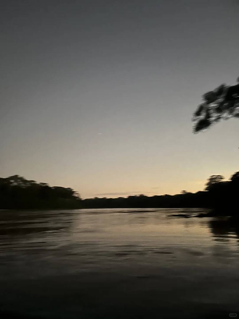 Explore Amazon Rainforest Biodiversity on Day 2 | In-Depth Safari Guide