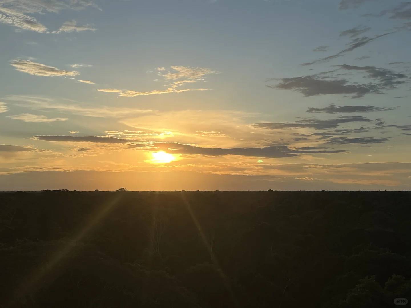 Explore Amazon Rainforest Biodiversity on Day 2 | In-Depth Safari Guide