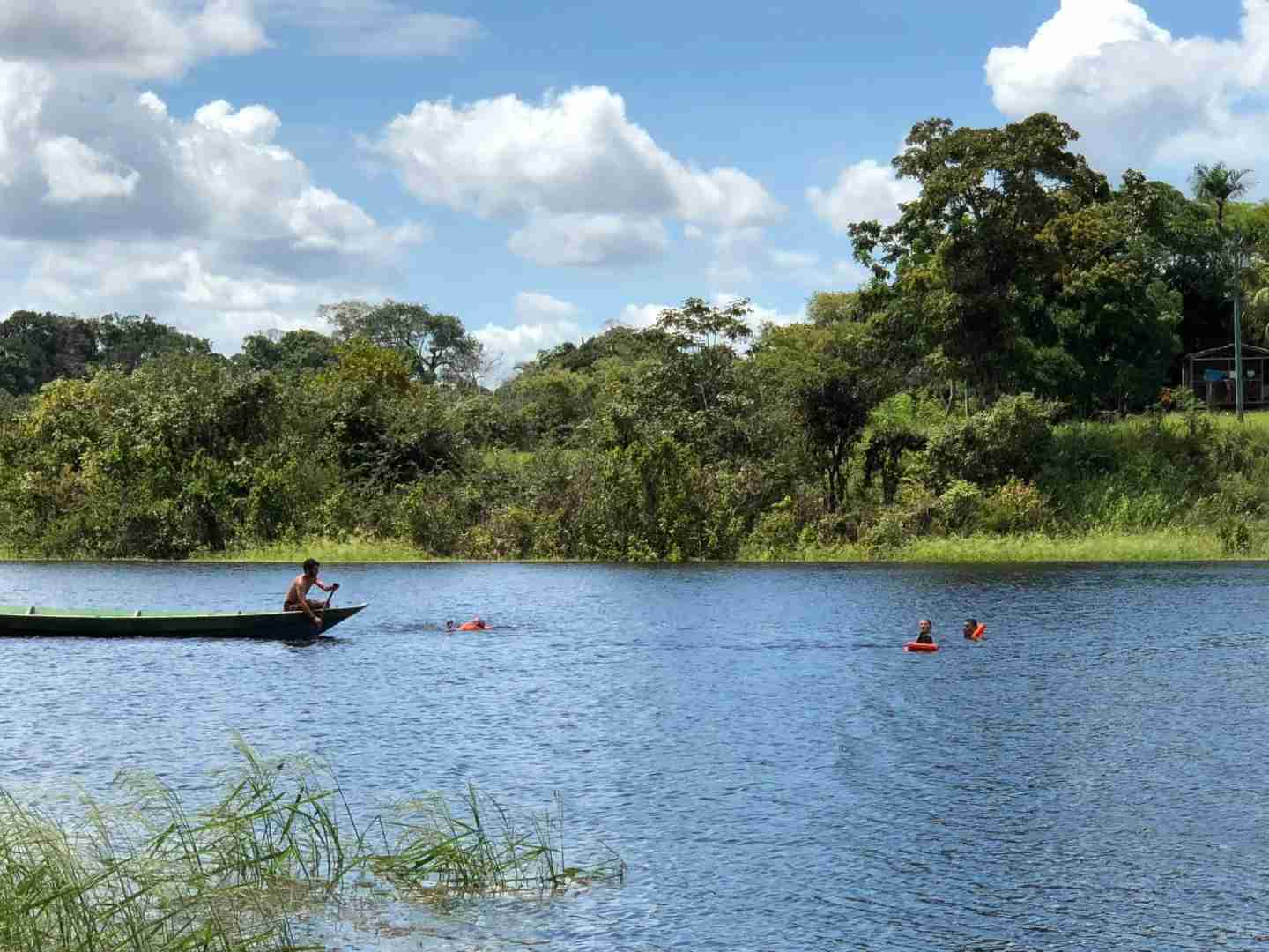 Explore Amazon Rainforest: Brazil Travelogue | Should You Jump?