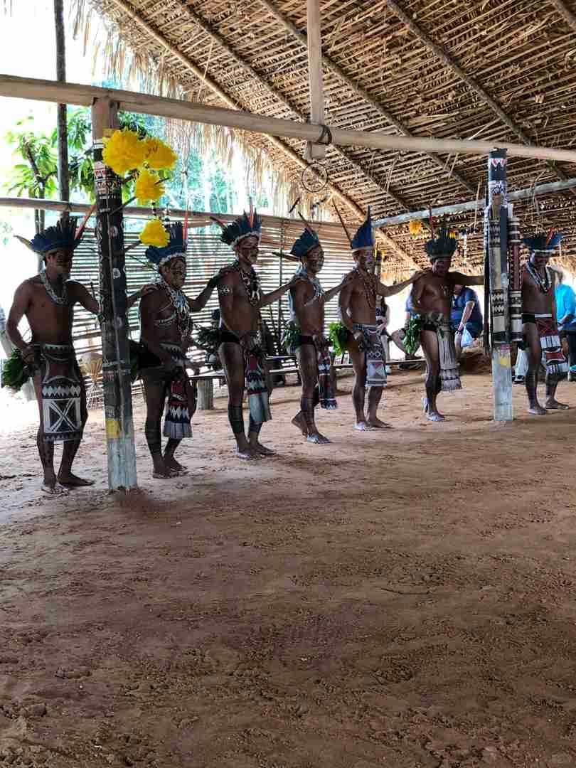 Explore Amazon Rainforest: Brazil Travelogue | Should You Jump?