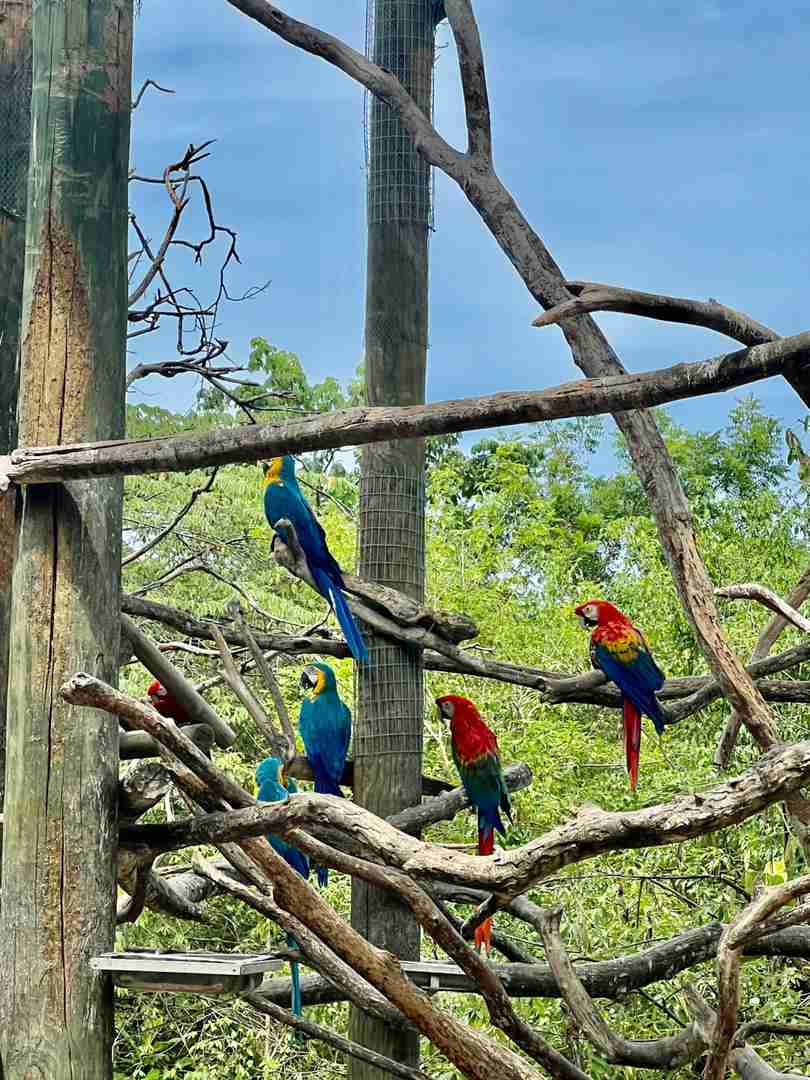 Explore Cartagena: A Traveler's Guide to Hidden Gems