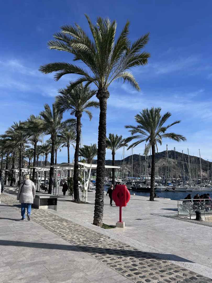 Explore Cartagena's Best Attractions in a Half-day City Tour