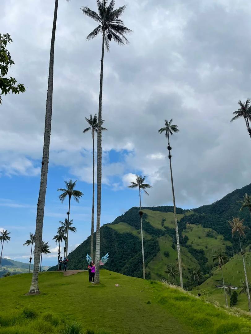 Explore Cocora Valley in Salento: A Traveler's Paradise