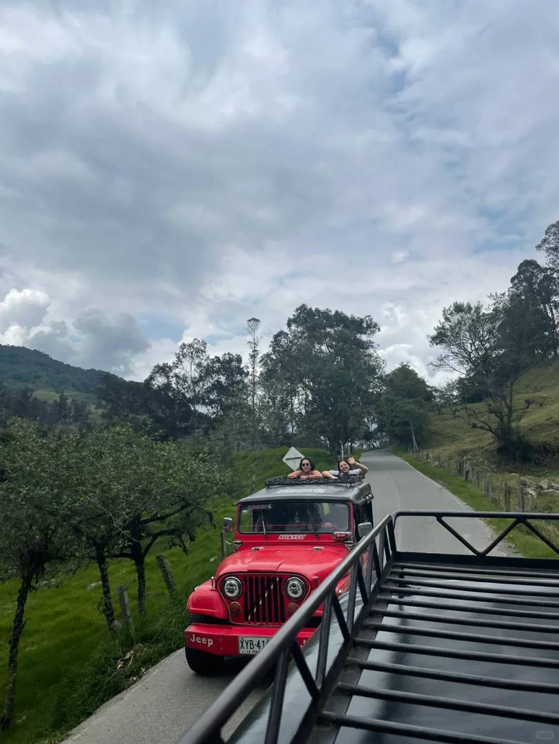 Explore Cocora Valley in Salento: A Traveler's Paradise