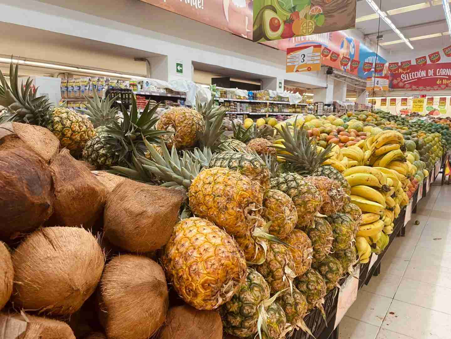 Explore Colombia Cali: Best Travel Tips for First-Time Visitors