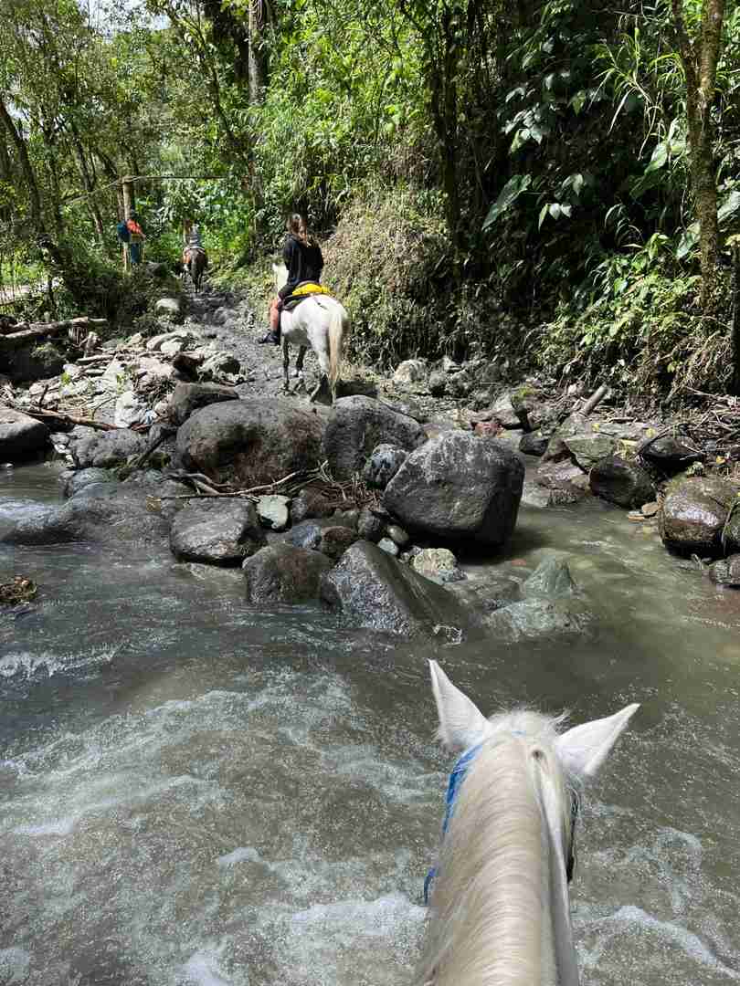 Explore Colombian Plateau Rainforest with Hiking and Horseback Riding Tours