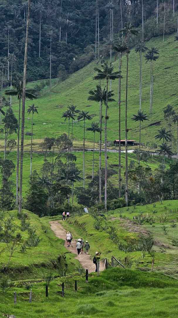 Explore Colombian Plateau Rainforest with Hiking and Horseback Riding Tours