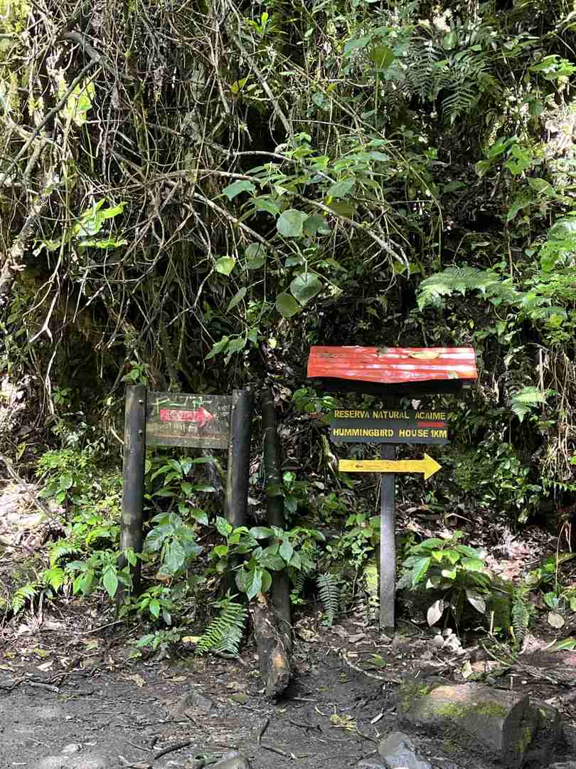 Explore Colombian Plateau Rainforest with Hiking and Horseback Riding Tours