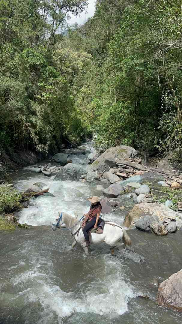 Explore Colombian Plateau Rainforest with Hiking and Horseback Riding Tours