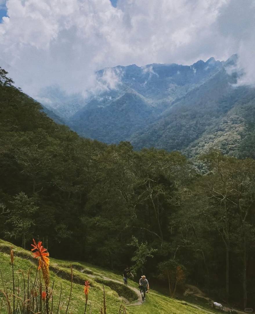 Explore Colombia's