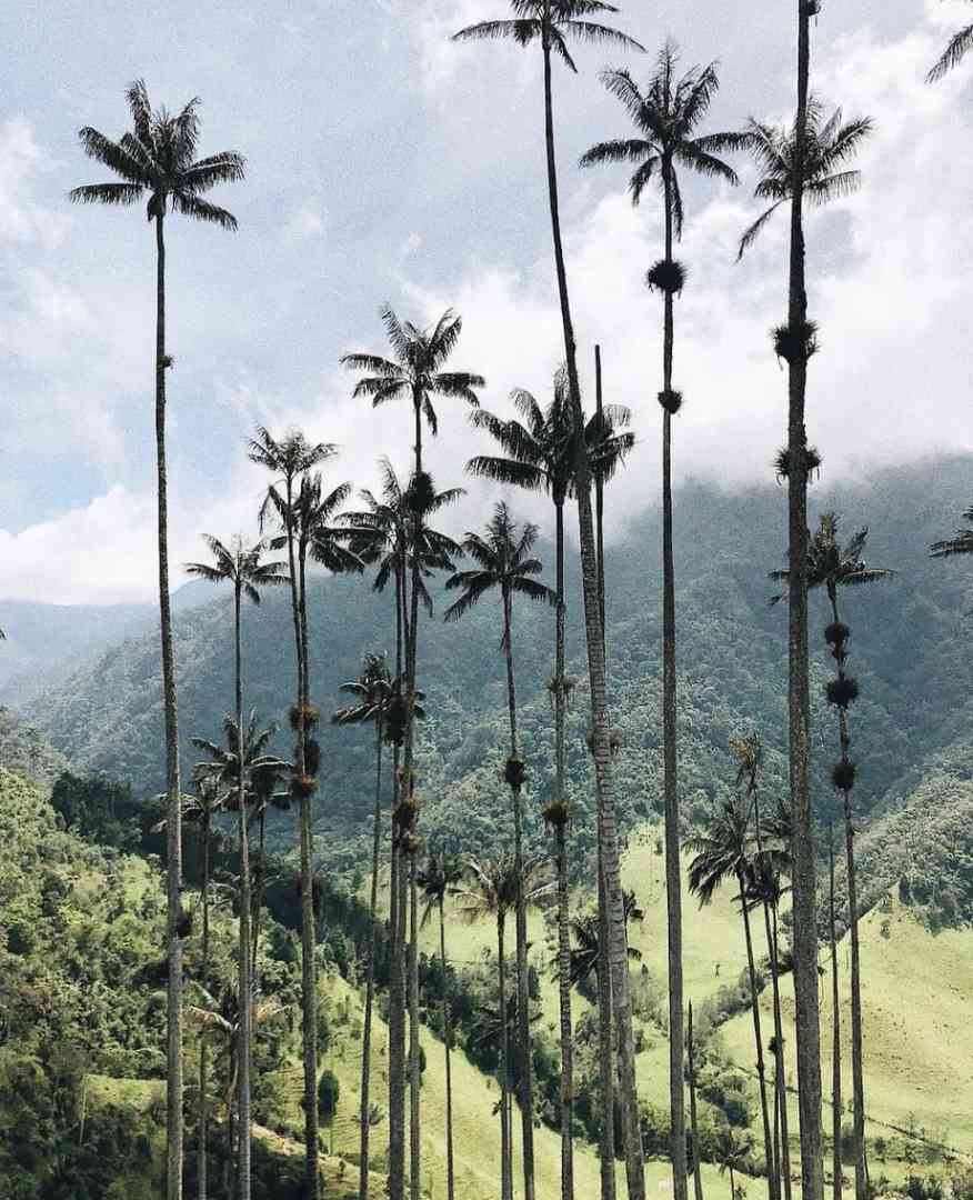 Explore Colombia's