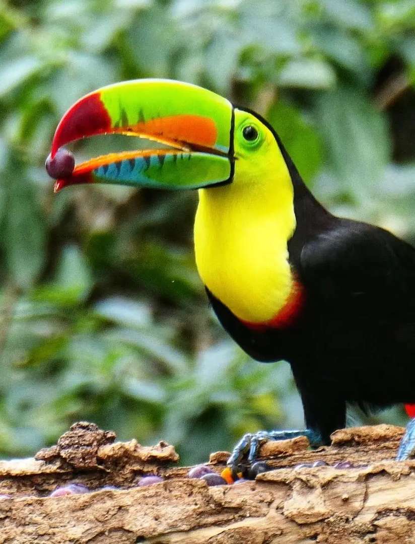 Explore Colombia's Hidden Gems: 6-Day Off-the-Beaten-Path La Guajira Tour