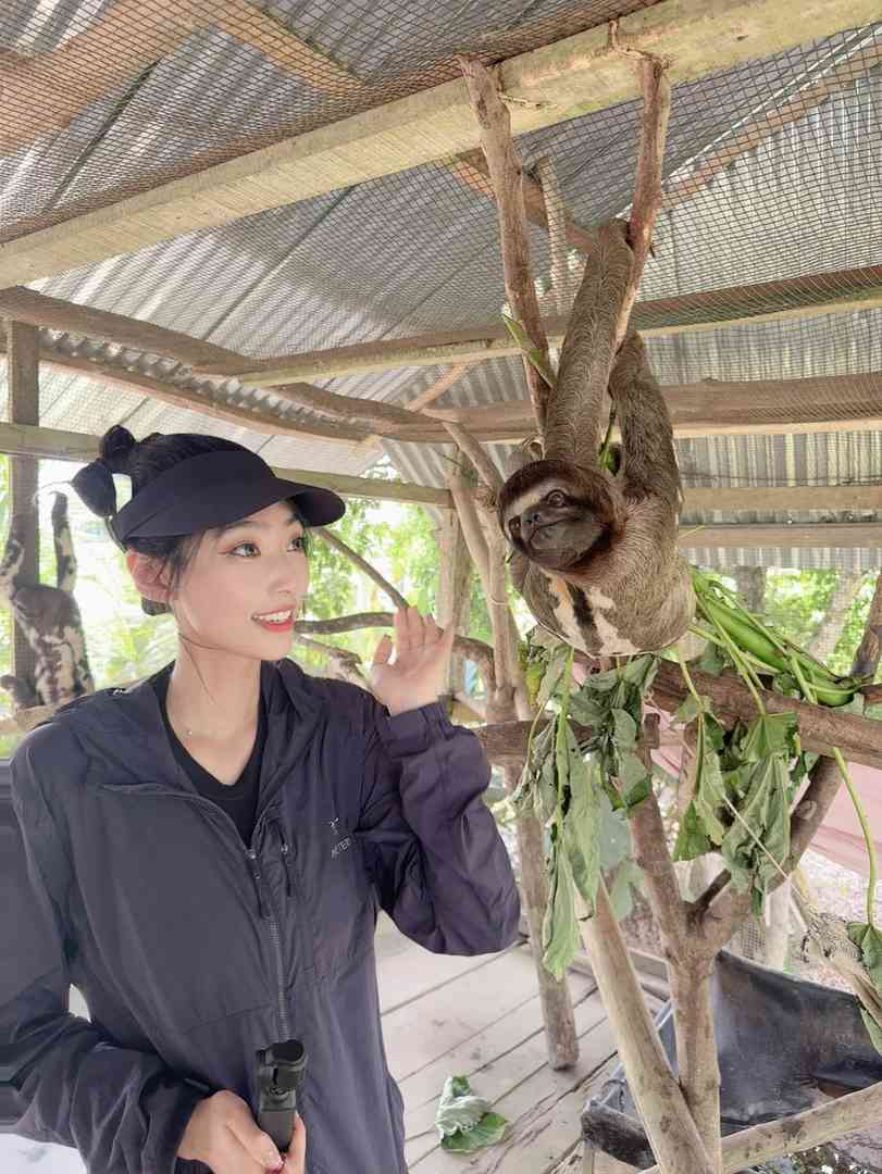 Explorer Iquitos Pérou : Trois Jours et Deux Nuits dans la Forêt Amazonienne