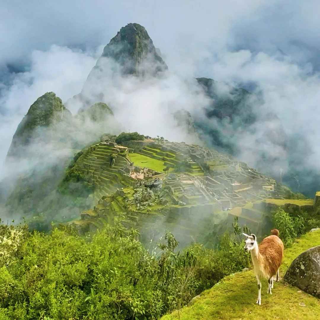 Explore Machu Picchu, One of the New Seven Wonders of the World