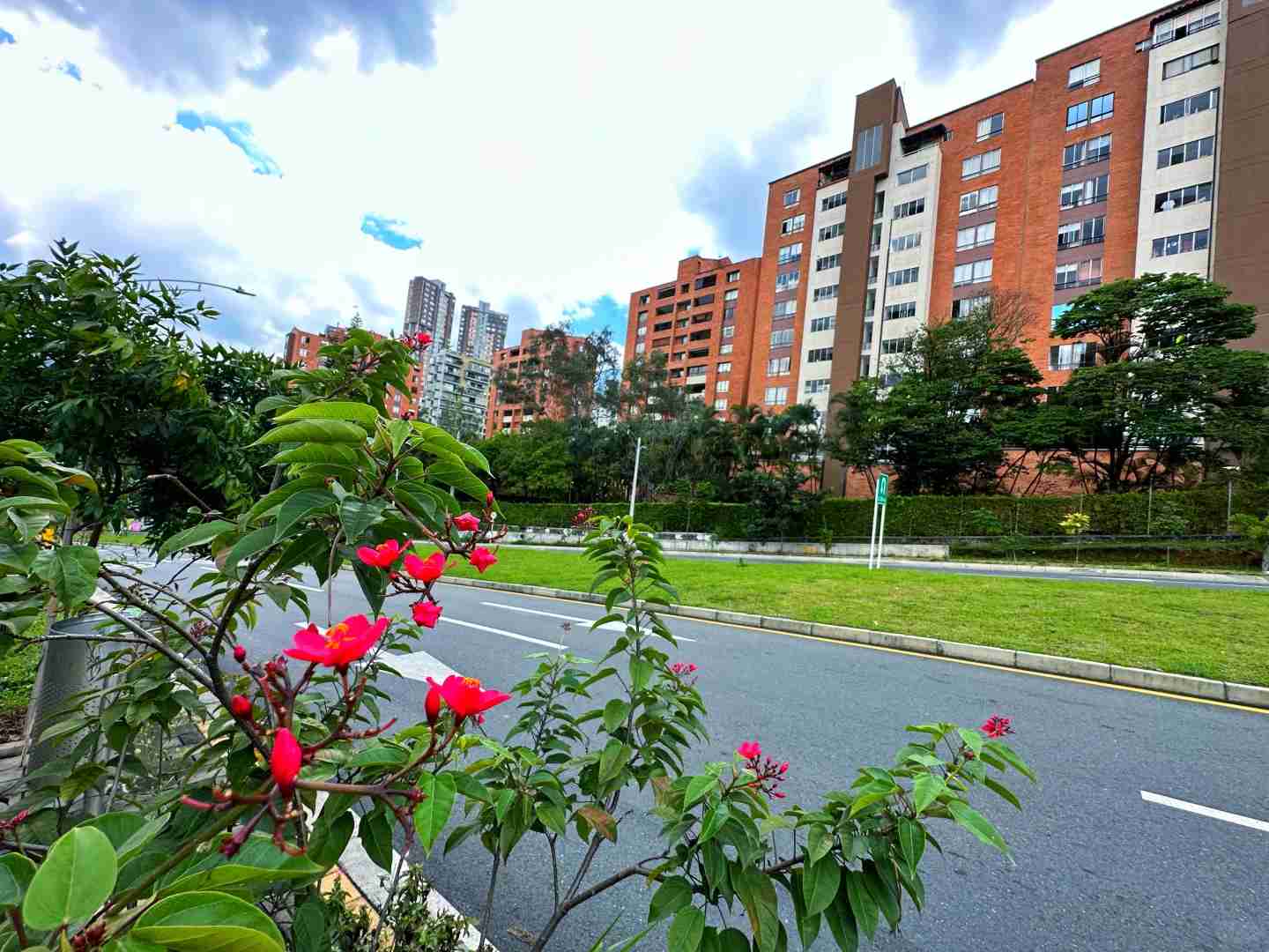 Explore Medellin: A Traveler's Guide to Hidden Gems in Colombia