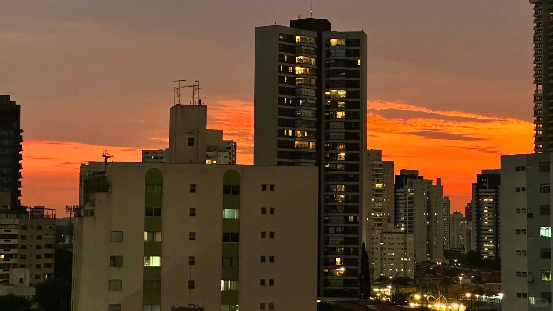 Explore Paulista Avenue in São Paulo | Best Attractions & Nearby Areas