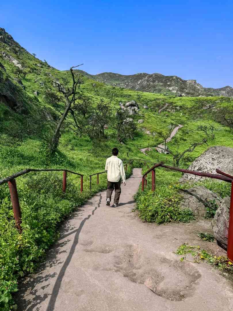Explore Peru's Hidden Green Wilderness Sanctuary | Offbeat Travel Secrets