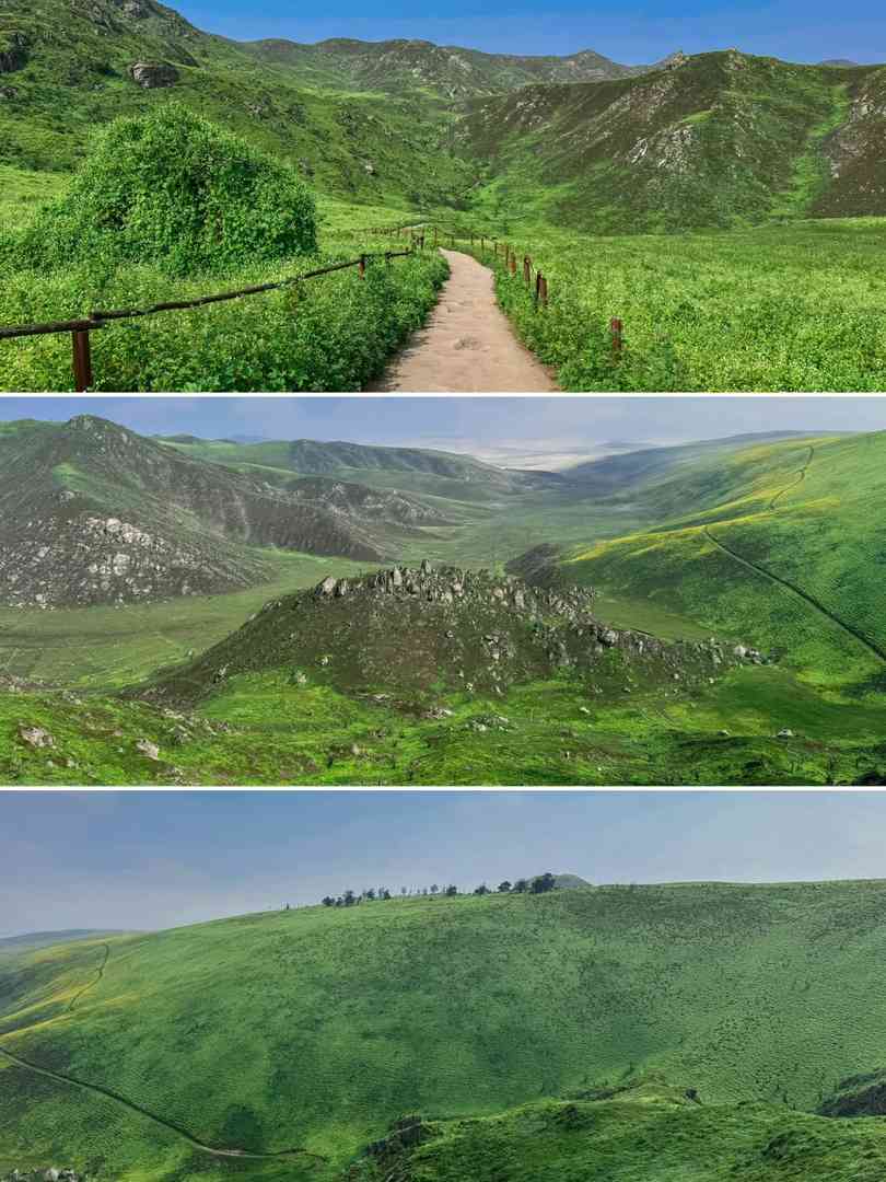 Explore Peru's Hidden Green Wilderness Sanctuary | Offbeat Travel Secrets