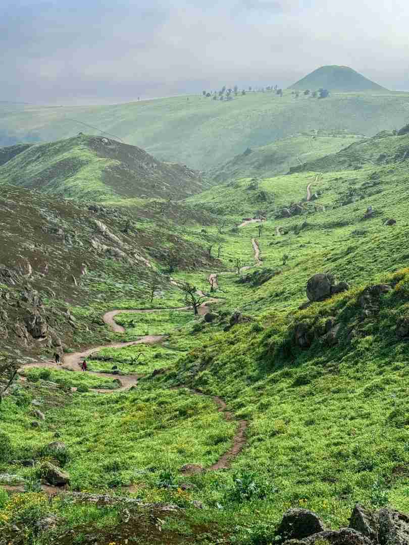 Explore Peru's Hidden Green Wilderness Sanctuary | Offbeat Travel Secrets