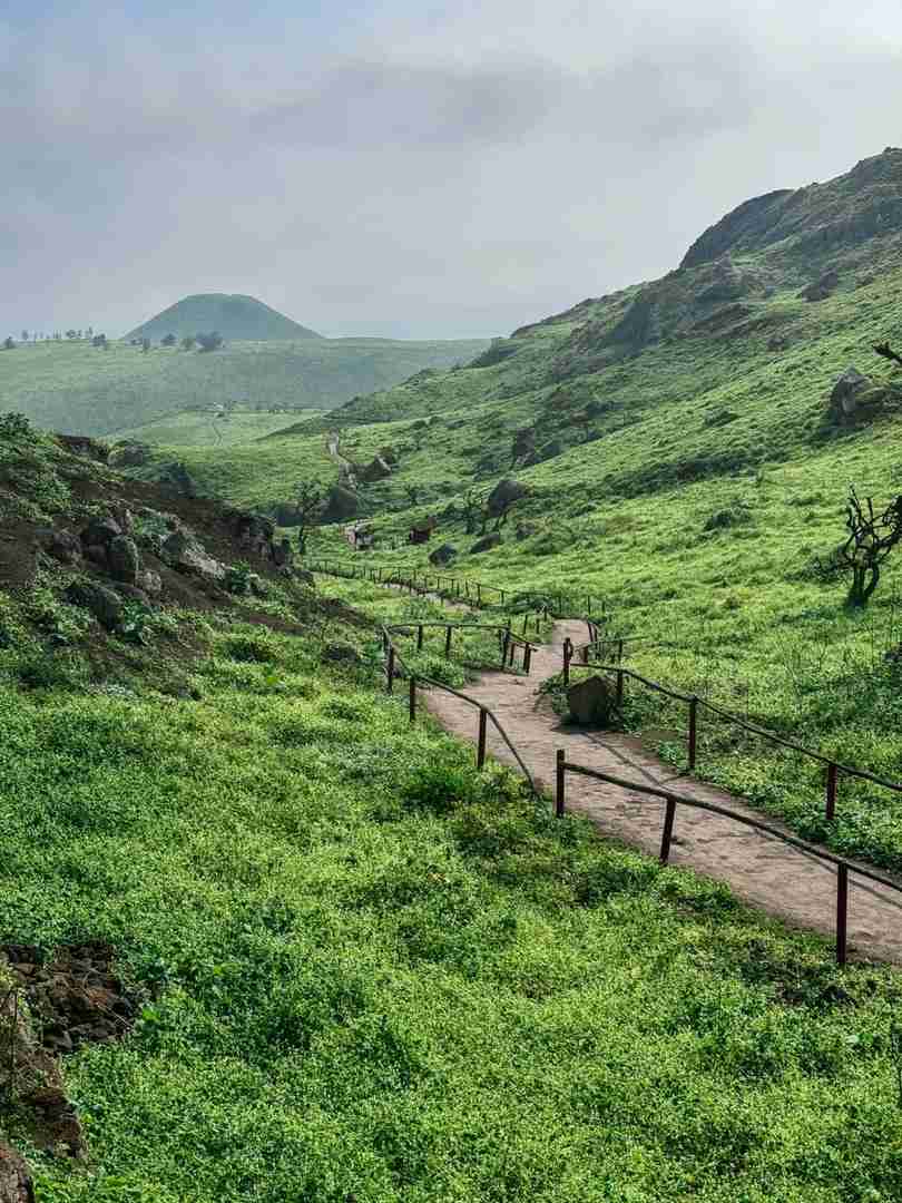 Explore Peru's Hidden Green Wilderness Sanctuary | Offbeat Travel Secrets
