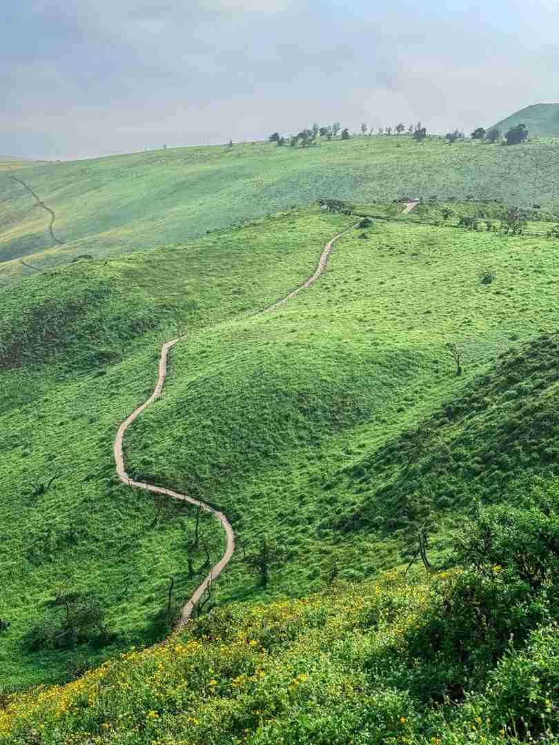Explore Peru's Hidden Green Wilderness Sanctuary | Offbeat Travel Secrets