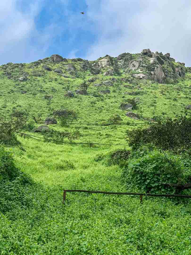 Explore Peru's Hidden Green Wilderness Sanctuary | Offbeat Travel Secrets