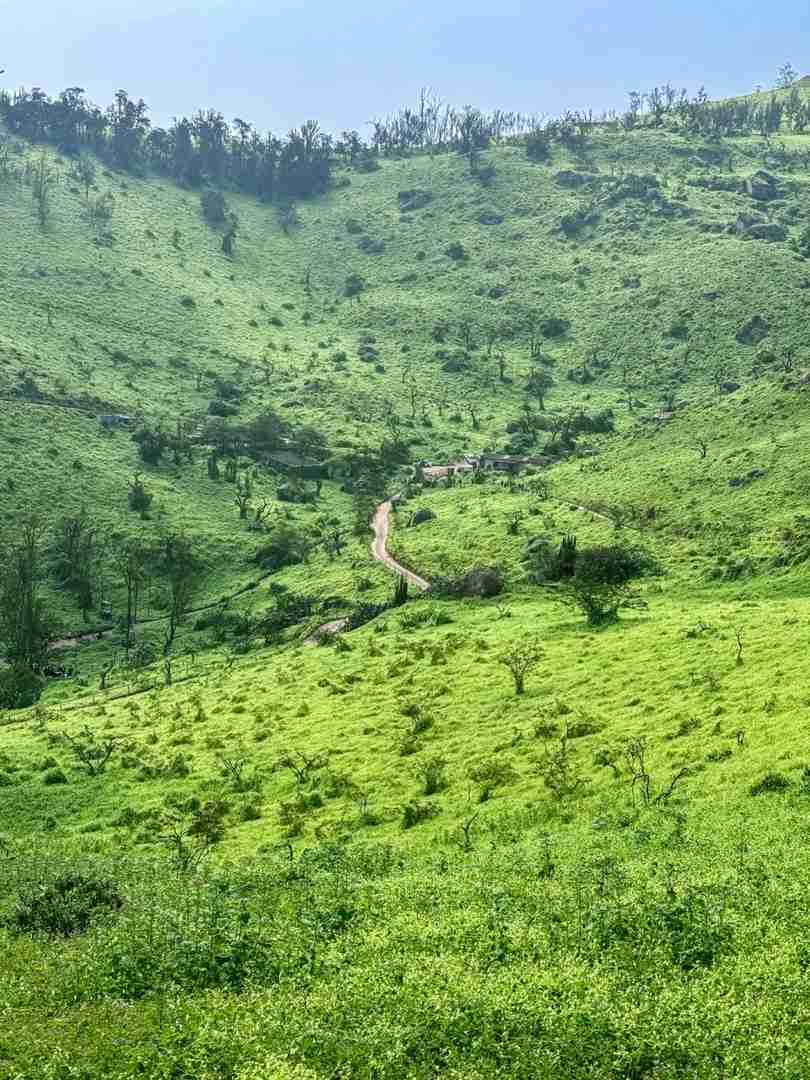 Explore Peru's Hidden Green Wilderness Sanctuary | Offbeat Travel Secrets