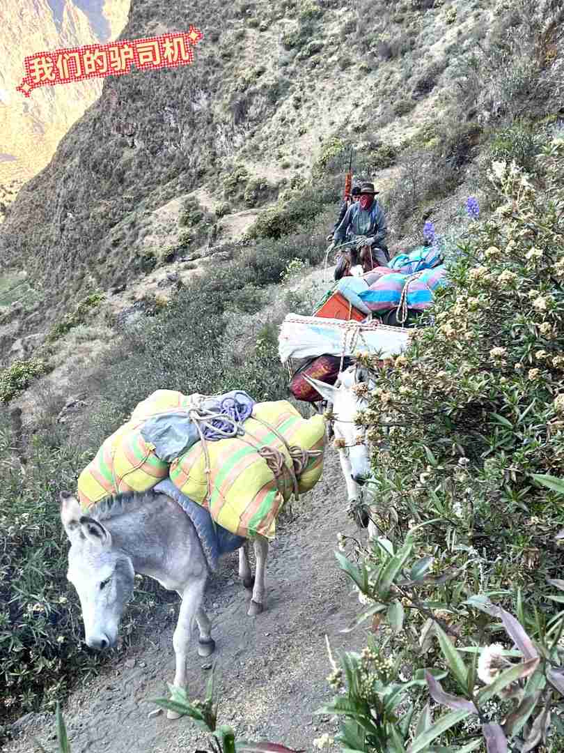Explore Peru's Huayhuash Three Lakes Scenic Area in South America (Part Two)