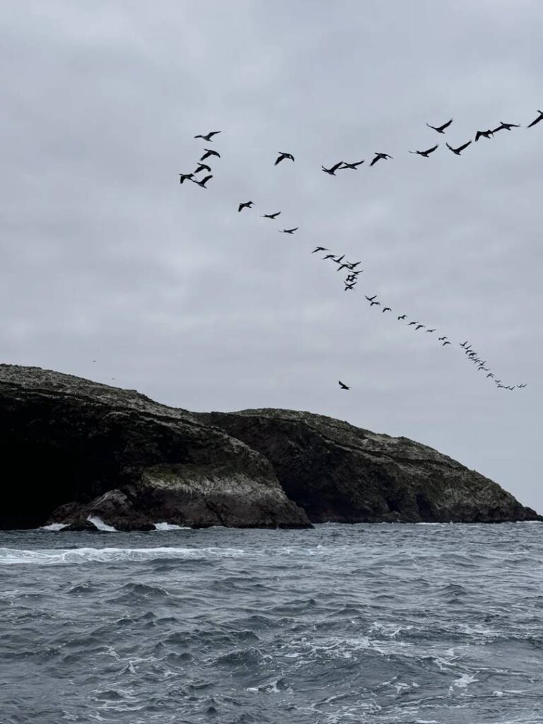 Explore Peru’s Off-the-Beaten-Path Attractions Like Iceland Landscapes