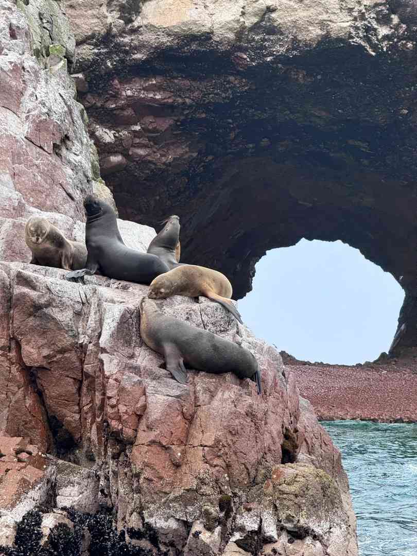Explore Peru's Off-the-Beaten-Path Attractions Like Iceland Landscapes