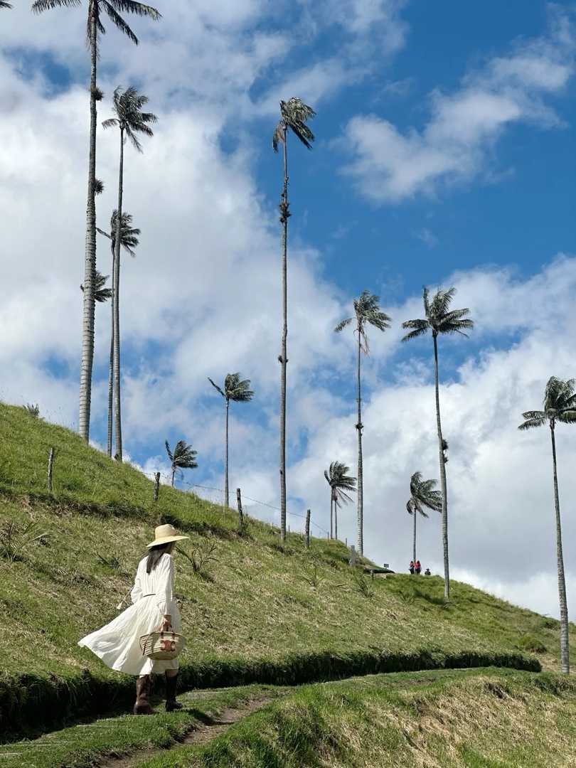 Explore Salento Colombia | World's Tallest Wax Palm Trees Near Coffee Farms