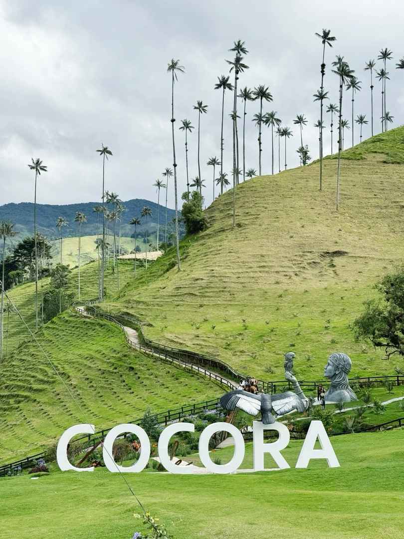 Explore Salento Colombia | World's Tallest Wax Palm Trees Near Coffee Farms