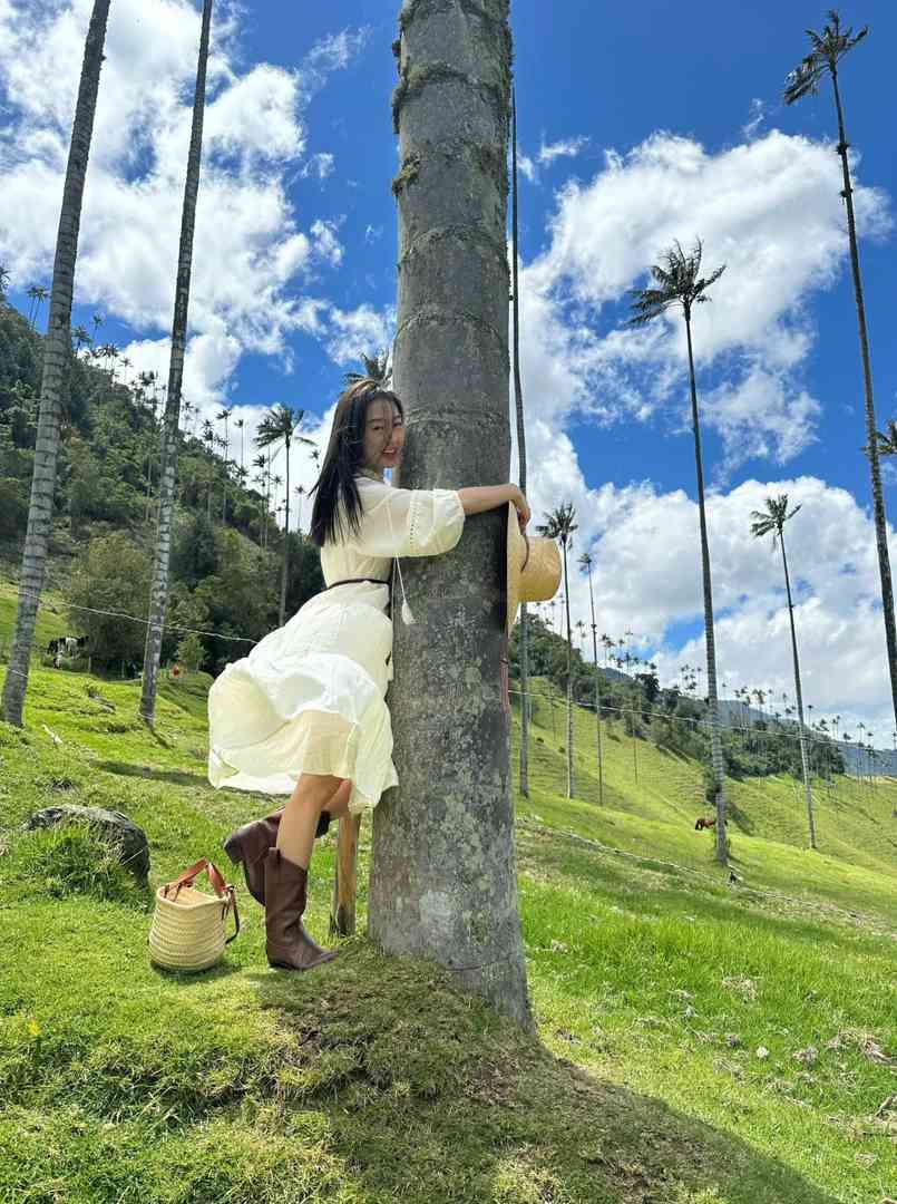 Explore Salento Colombia | World's Tallest Wax Palm Trees Near Coffee Farms