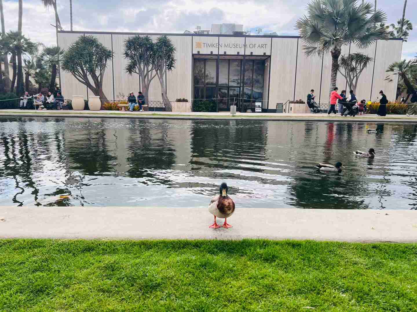Explorando o Sol e as Ondas de San Diego: Um Paraíso Costeiro Poético