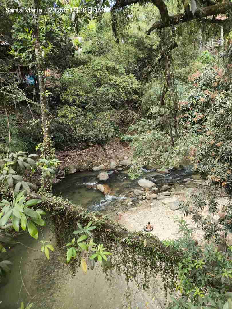 Explore Santa Marta to Minca Village Day Trip with Hiking and Nature