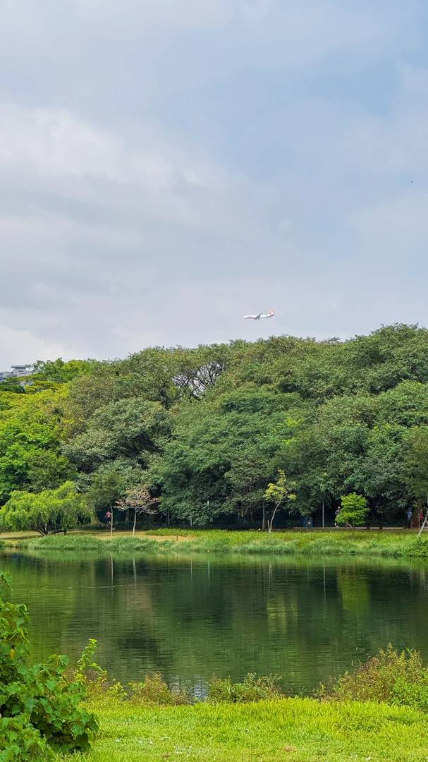 Explore São Paulo Tourism: Best Local Attractions & Travel Tips