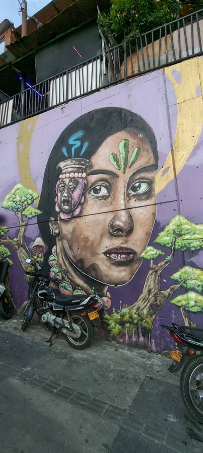 Explore Zone 13 Medellin: Half-day Itinerary for Travelers