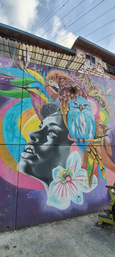 Explore Zone 13 Medellin: Half-day Itinerary for Travelers