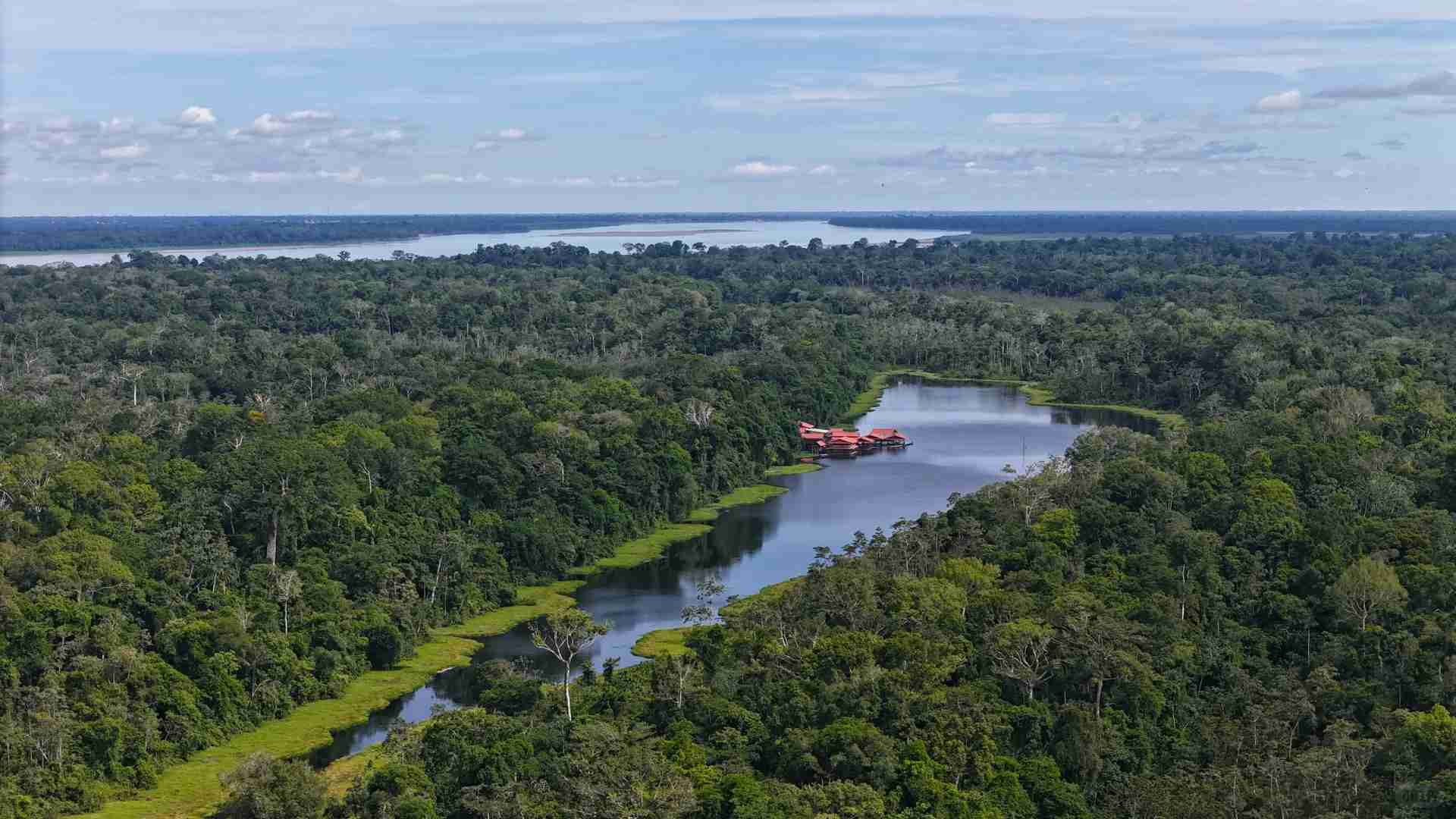 Erkunde den Amazonasregenwald: Ein Leitfaden zur Vielfalt und Erhaltung