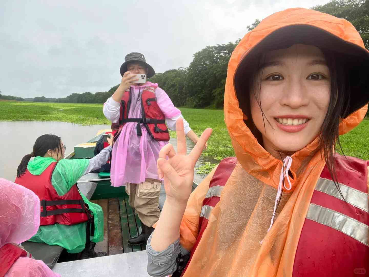 Erkunde den Amazonasregenwald: Ein wunderbarer Zusammentreffen mit seltenen Tieren