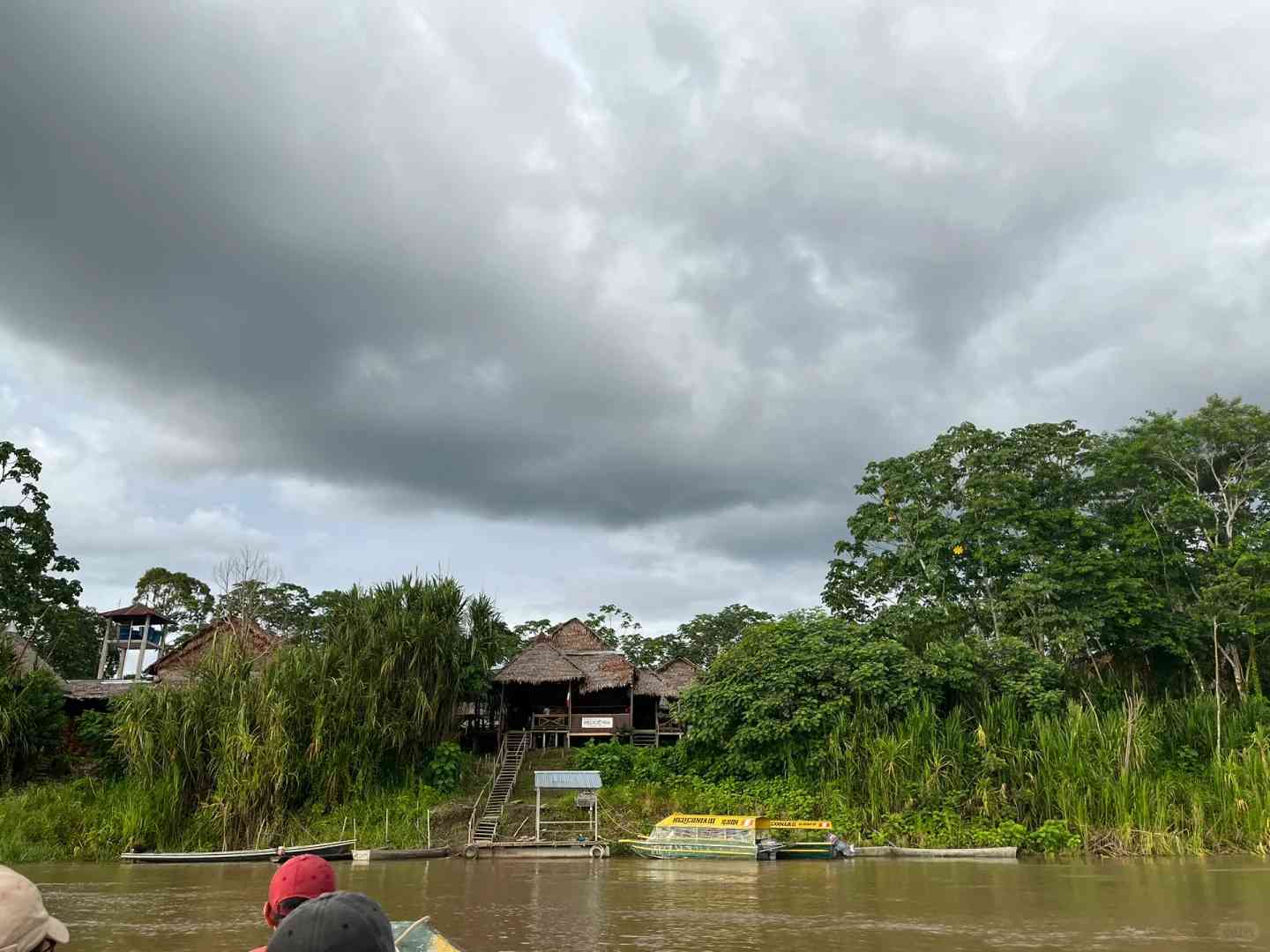 Erkunde den Amazonasregenwald: Ein wunderbarer Zusammentreffen mit seltenen Tieren