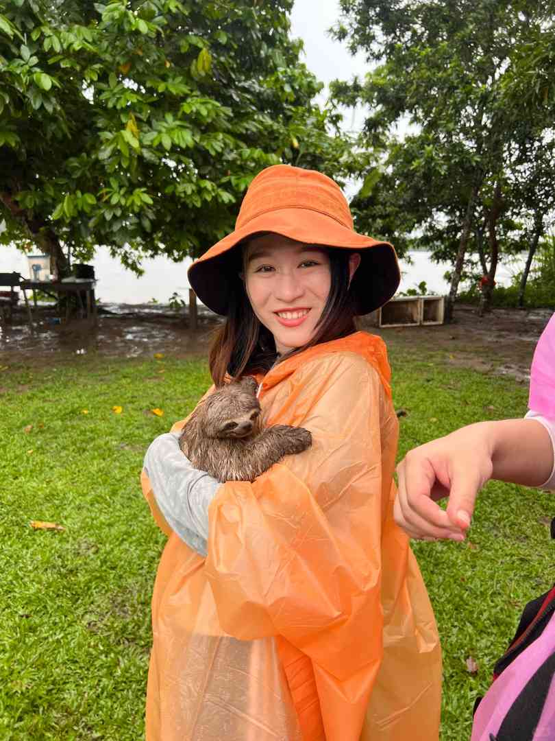 Erkunde den Amazonasregenwald: Ein wunderbarer Zusammentreffen mit seltenen Tieren
