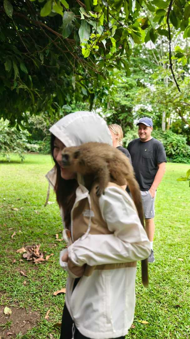 Erkunde den Amazonasregenwald: Ein wunderbarer Zusammentreffen mit seltenen Tieren