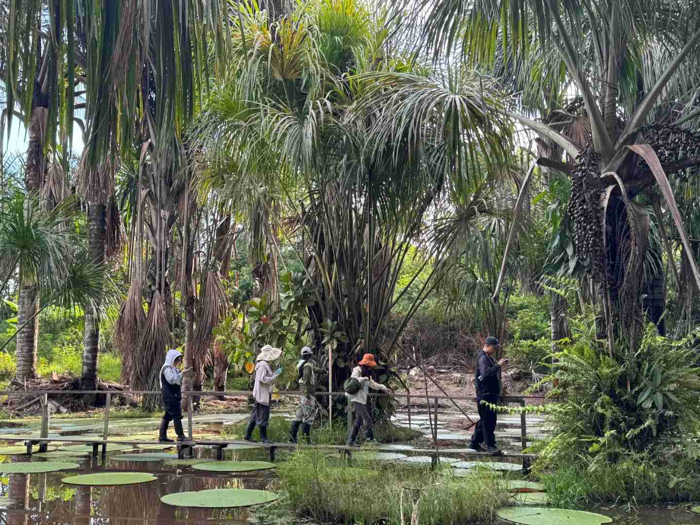 Erkunde den Amazonasregenwald: Ein wunderbarer Zusammentreffen mit seltenen Tieren