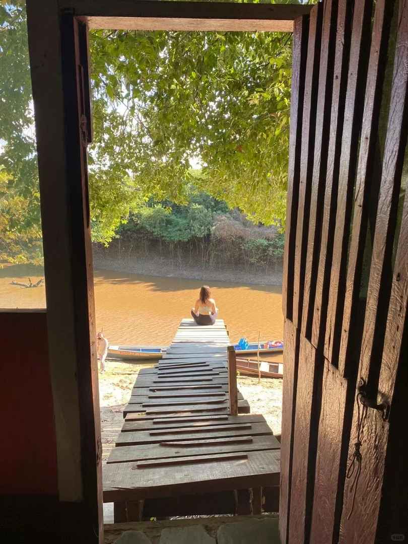 Exploration de la Forêt Vierge Amazonienne Journal 1.0 : Un Guide Détaillé de la Jungle Tropicale