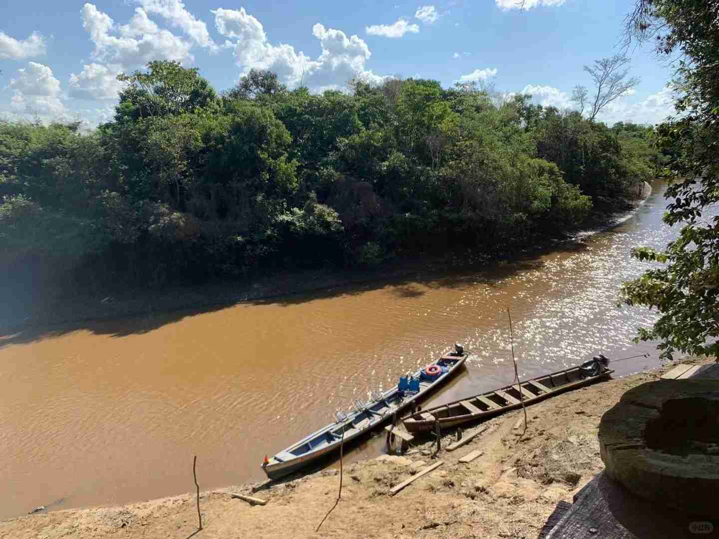 Exploration de la Forêt Vierge Amazonienne Journal 1.0 : Un Guide Détaillé de la Jungle Tropicale