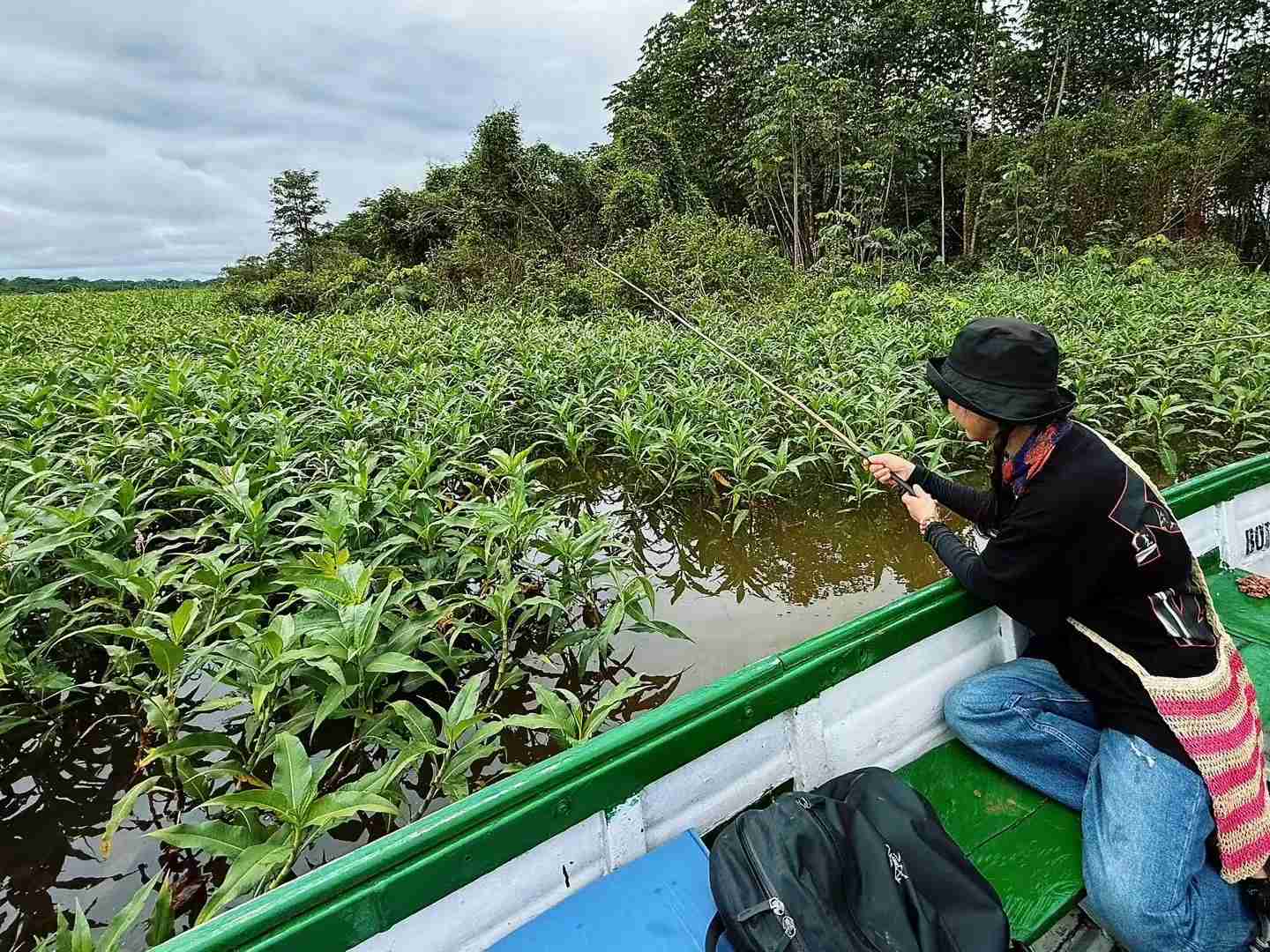 Explore the Amazon Rainforest: Unique Activities and Adventures
